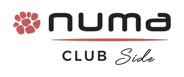 Numa Side